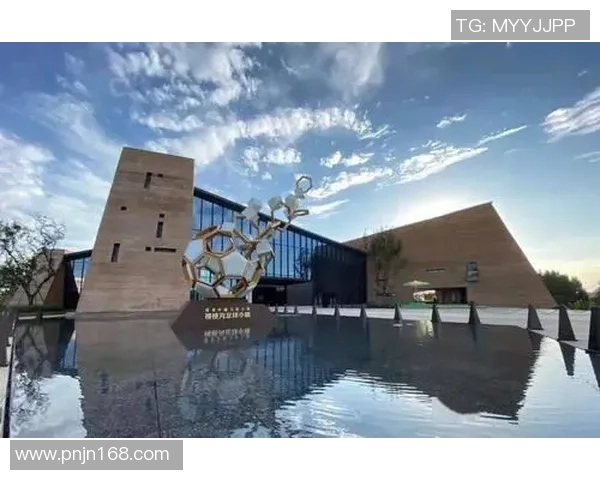 开封足球小镇助力地方经济发展与青少年足球文化的融合与提升